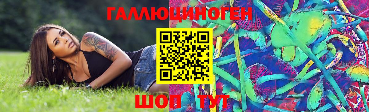 Псилоцибиновые грибы Psilocybine cubensis  Вход с VPN  Клинцы  цены наркотик  Псилоцибиновые грибы Cubensis 
